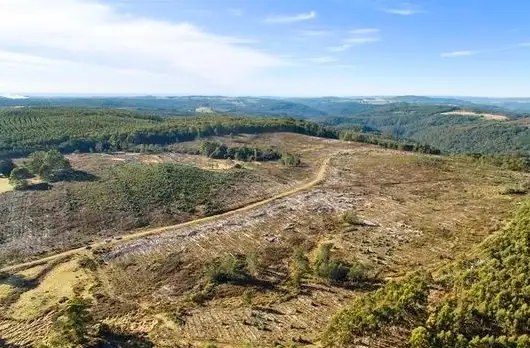 Sixth view of Homely rural property listing, 317 South Nietta Road, Nietta TAS 7315