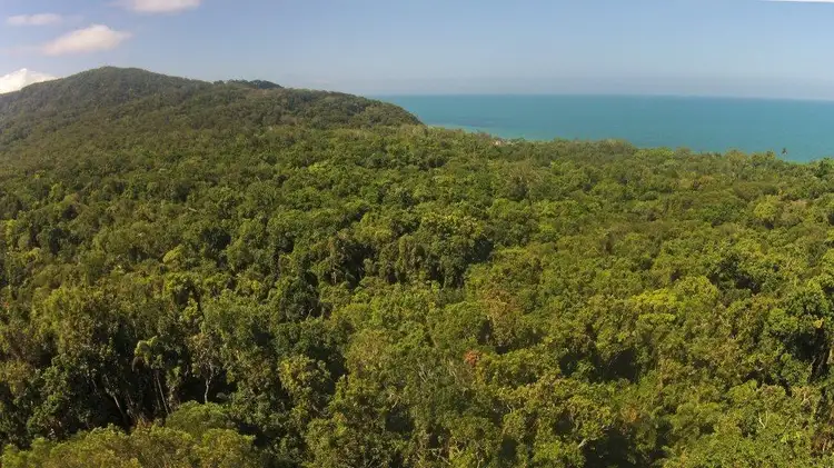 Fourth view of Homely land listing, Lot 259 Silver Ash Road (Cow Bay), Daintree QLD 4873