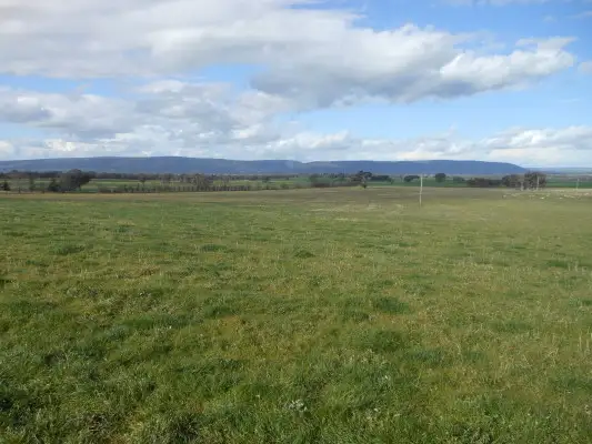 Lot 2 360 Robinsons, Young NSW 2594