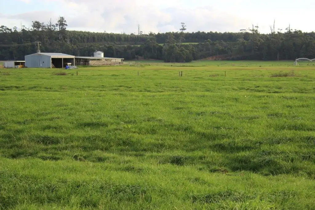 Main view of Homely rural property listing, 24610 Bass Highway, Brittons Swamp TAS 7330