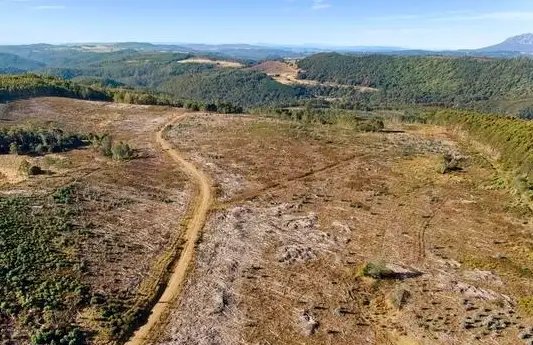Fourth view of Homely rural property listing, 317 South Nietta Road, Nietta TAS 7315