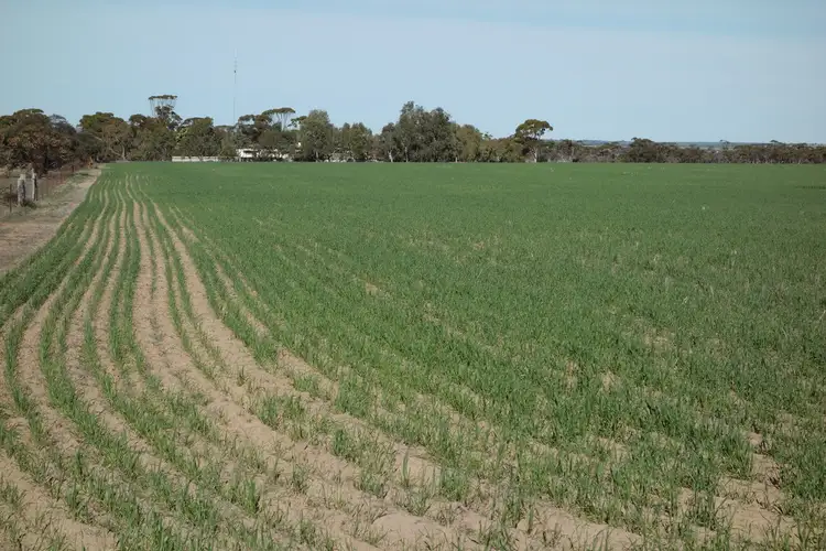 Second view of Homely rural property listing, 2262 Hyden Kondinin Road, Kondinin WA 6367