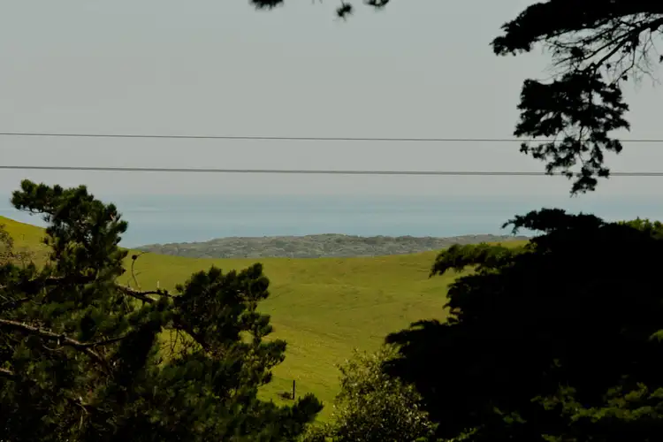 Second view of Homely rural property listing, 895 Boneo Road, Cape Schanck VIC 3939