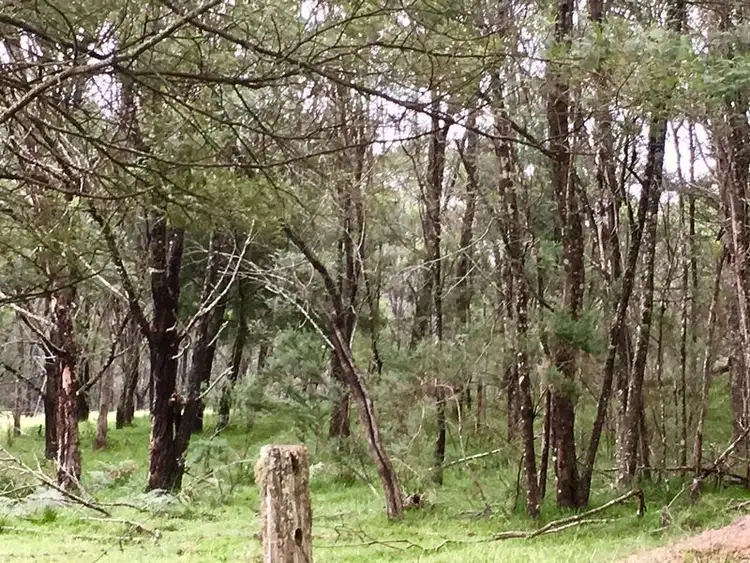 Fourth view of Homely land listing, Lots 25 & 121 Eurobodalla Road, Cadgee NSW 2545