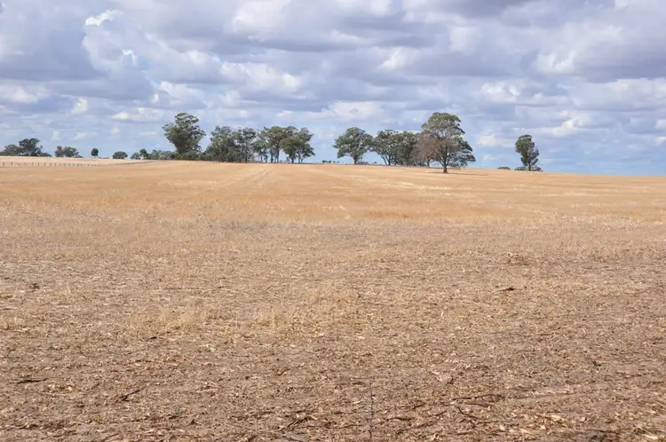 Second view of Homely rural property listing, 605 Angle Road, Murchison VIC 3610