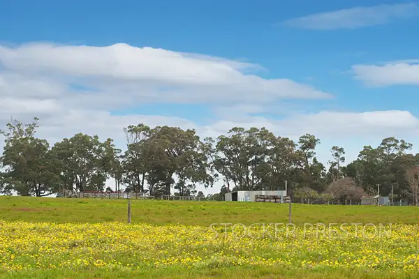 Seventh view of Homely rural property listing, L2902 Jindong Treeton Road, Rosa Brook WA 6285