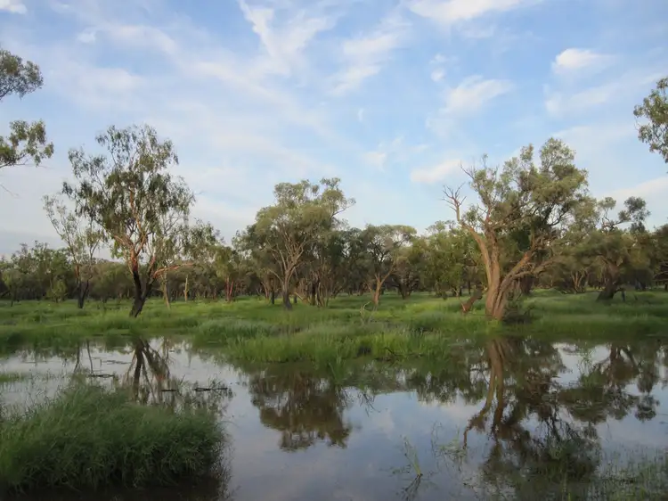 Main view of Homely rural property listing, " Cudgee ", Quilpie QLD 4480