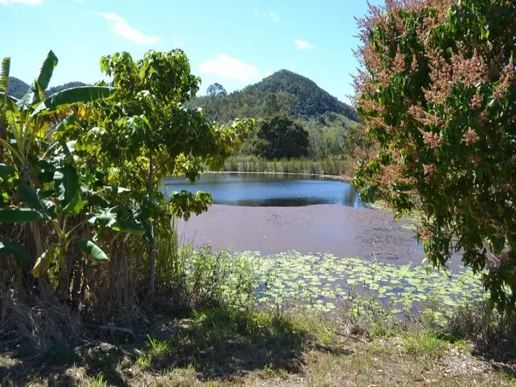 14 Said Road, Seaforth QLD 4741