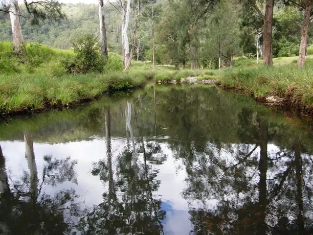 Main view of Homely rural property listing, "Ellem's" Kangaroo Creek Rd, Kangaroo Creek NSW 2460