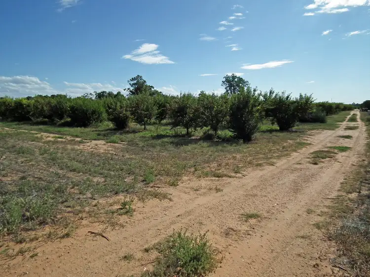 Sixth view of Homely land listing, Lot 101 Kulkyne Street, Renmark SA 5341
