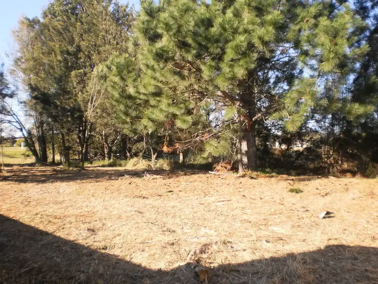 79A President Wilson Walk, Tanilba Bay NSW 2319