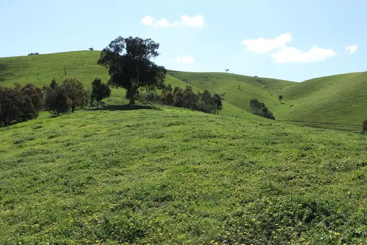 Second view of Homely rural property listing, 239 Murrindindi Road, Murrindindi VIC 3717