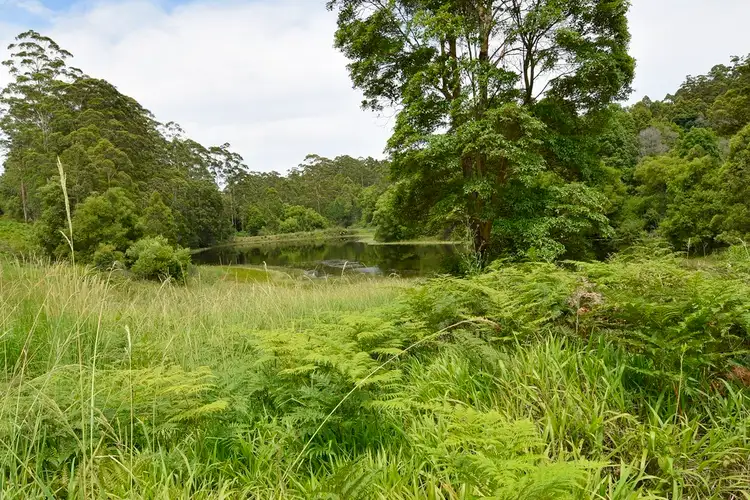 Main view of Homely land listing, 126 Gabal Road, Nimbin NSW 2480