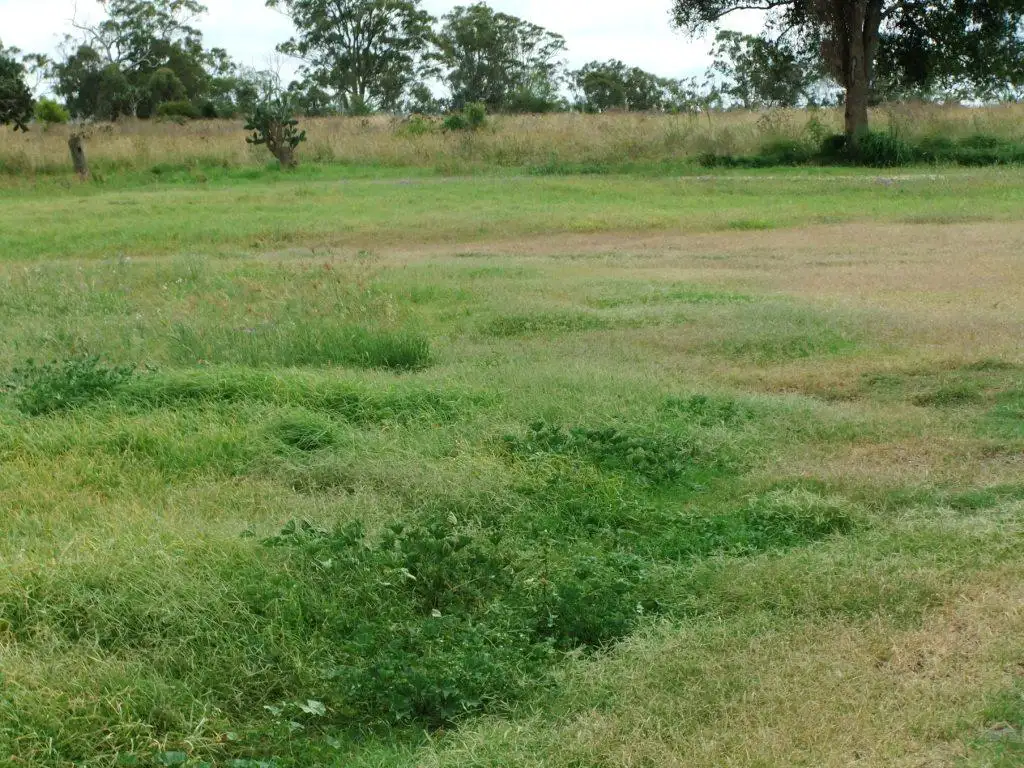 Main view of Homely land listing, 1516 Haden Crows Nest Road, Haden QLD 4353