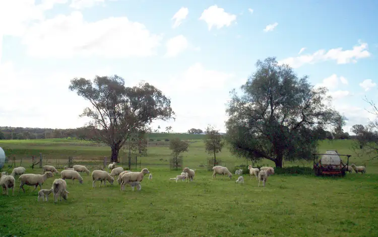 Fourth view of Homely house listing, 57 Mahers, Cookardinia NSW 2650