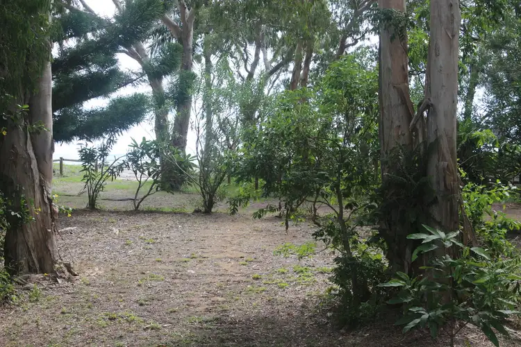 Fifth view of Homely house listing, 9 Buoro Street, Ball Bay QLD 4741