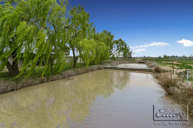 Fifth view of Homely rural property listing, 79 Dingee-Serpentine Road, Dingee VIC 3571