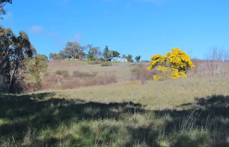 127 Back Creek Road, Young NSW 2594