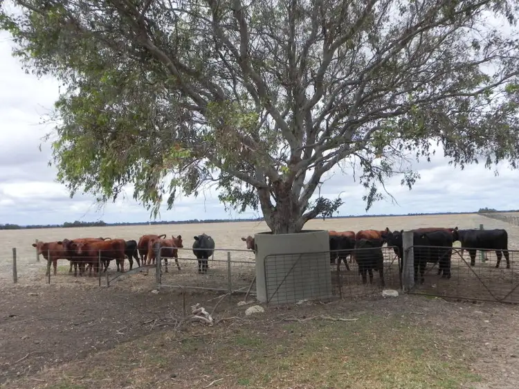 Fifth view of Homely rural property listing, 269 Mayfield  Road, Beermullah WA 6503