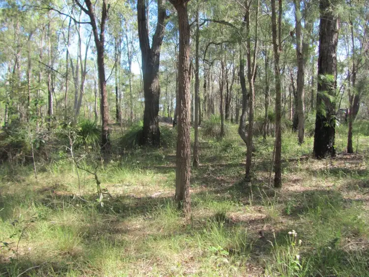 Fifth view of Homely rural property listing, Lot 44 Matchbox Road, Deepwater QLD 4674