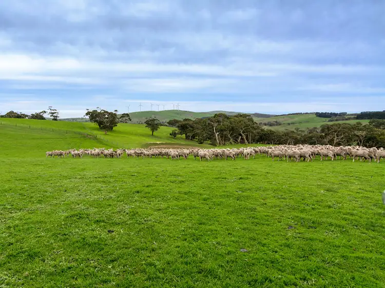 Second view of Homely rural property listing, 9058 Main South Rd, Delamere SA 5204