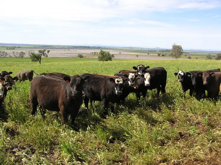 Sixth view of Homely rural property listing, ''Caradoc Park", Mullaley NSW 2379