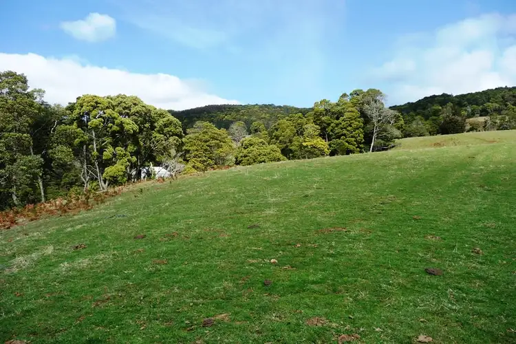 Fifth view of Homely rural property listing, 29371 Tasman Highway, Weldborough TAS 7264