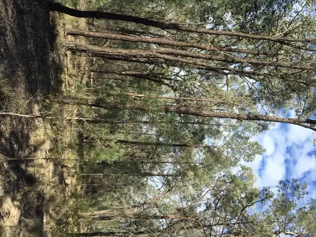 Fourth view of Homely rural property listing, Lot 75 WEST VALLEY ROAD, Tara QLD 4421