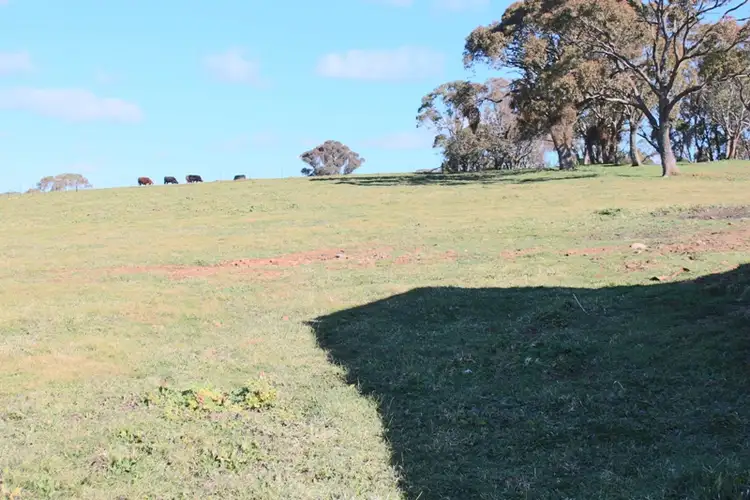 Fifth view of Homely rural property listing, Address available on request