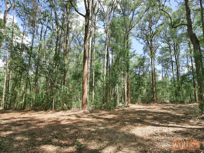 Main view of Homely land listing, LOT 7 Figbird Court, Lake Macdonald QLD 4563
