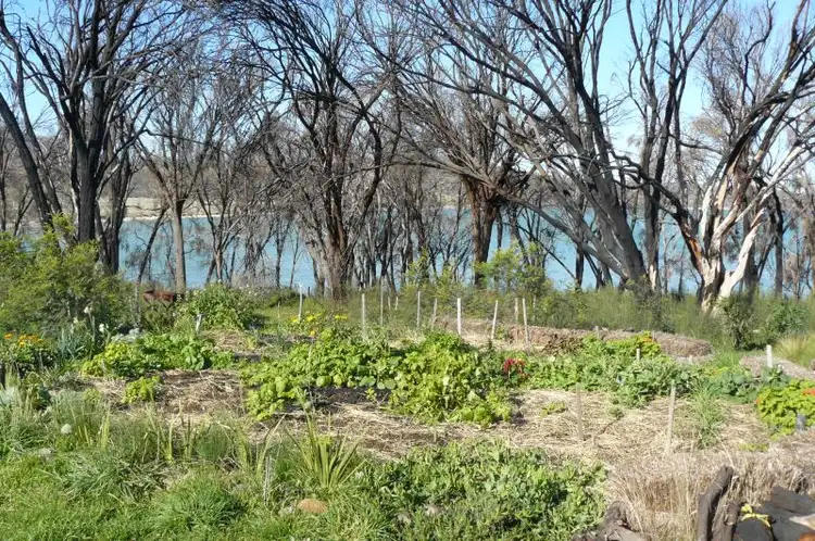 Sixth view of Homely land listing, 9 - 11 Spotswood Road, Dunalley TAS 7177