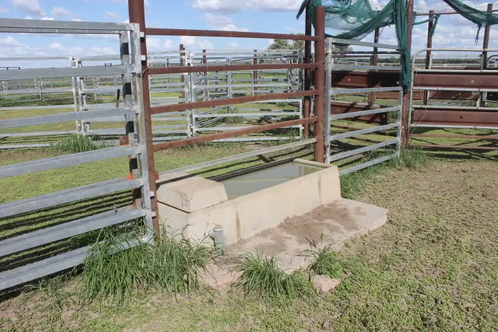 Fourth view of Homely rural property listing, 55140 Capricorn Highway, Barcaldine QLD 4725
