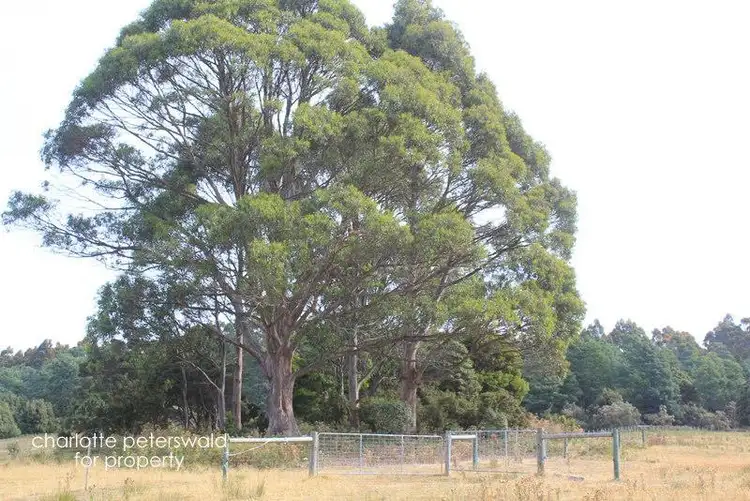 Sixth view of Homely land listing, 242 Lookout Road, Port Arthur TAS 7182