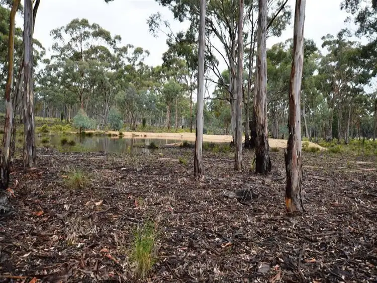 Fifth view of Homely rural property listing, 126 Carramar Road, Gulgong NSW 2852