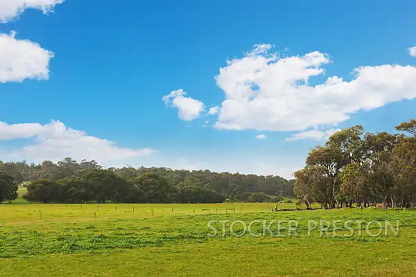 Fifth view of Homely rural property listing, P/L 101 WEST RD, Cowaramup WA 6284