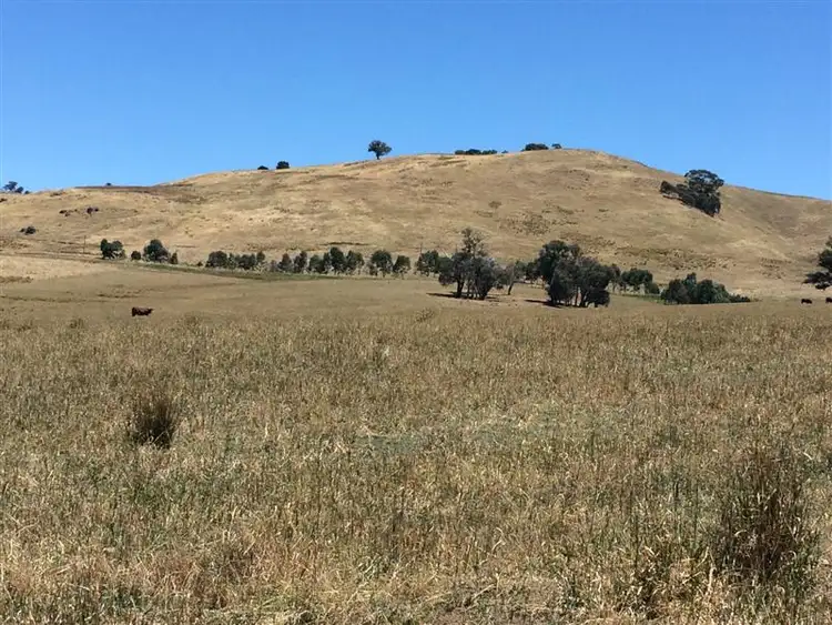Seventh view of Homely rural property listing, lot 8222 Yaven Creek Road, Adelong NSW 2729