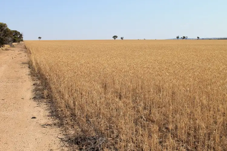 Sixth view of Homely rural property listing, 140 Tolland Road, Karlgarin WA 6358