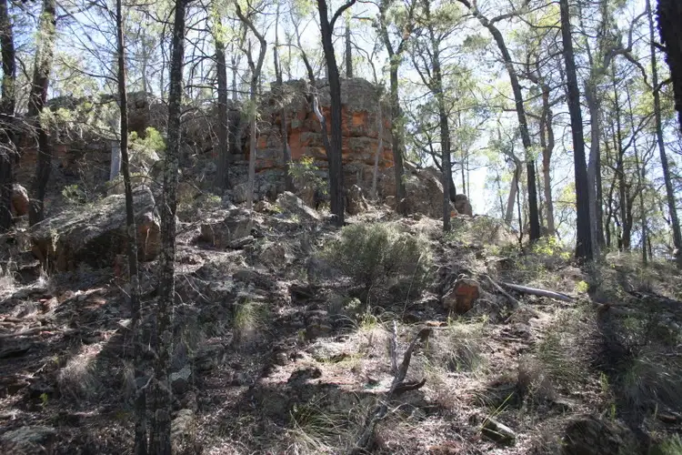 Second view of Homely land listing, Lot 9 Kurrajong Road, Coonabarabran NSW 2357