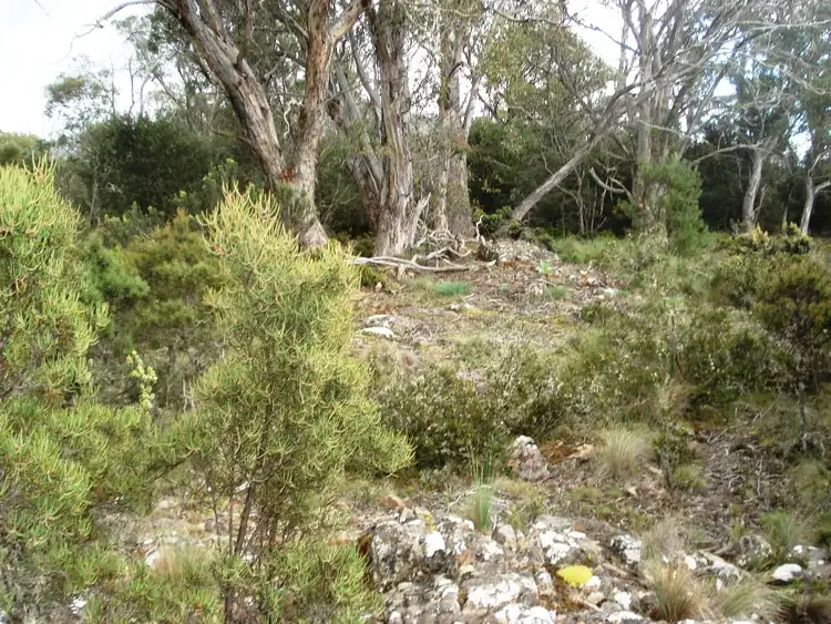 Fourth view of Homely land listing, Lot 15, 21 Jones Road, Miena TAS 7030