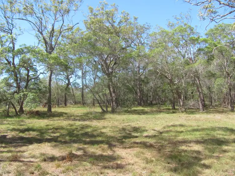 Seventh view of Homely rural property listing, 391 Matchbox Road, Deepwater QLD 4674