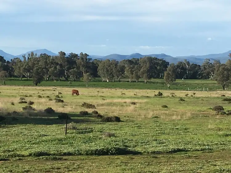 Seventh view of Homely rural property listing, 53 Pandora Lane, Narrabri NSW 2390