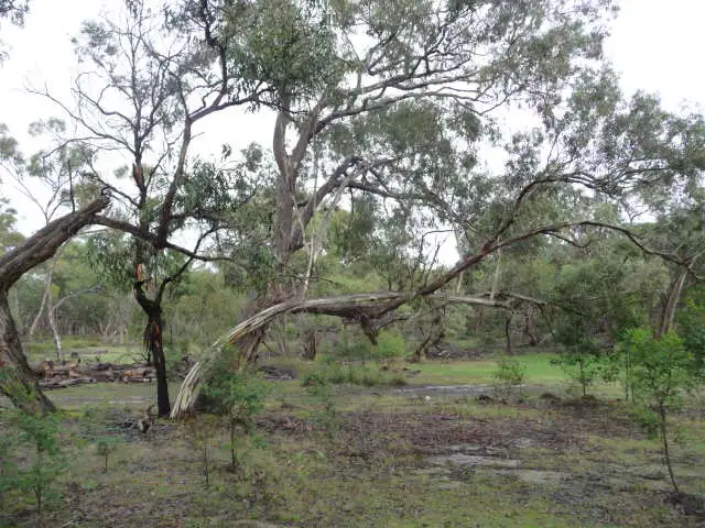 Lot 5 McAdams Rd. Mooralla via, Cavendish VIC 3314