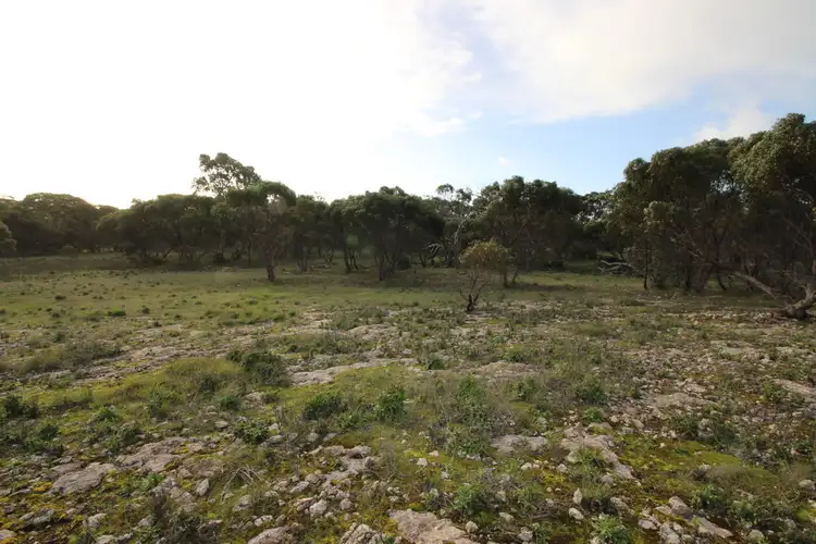 Sixth view of Homely land listing, Lot 107 Wallace Court, Coulta SA 5607
