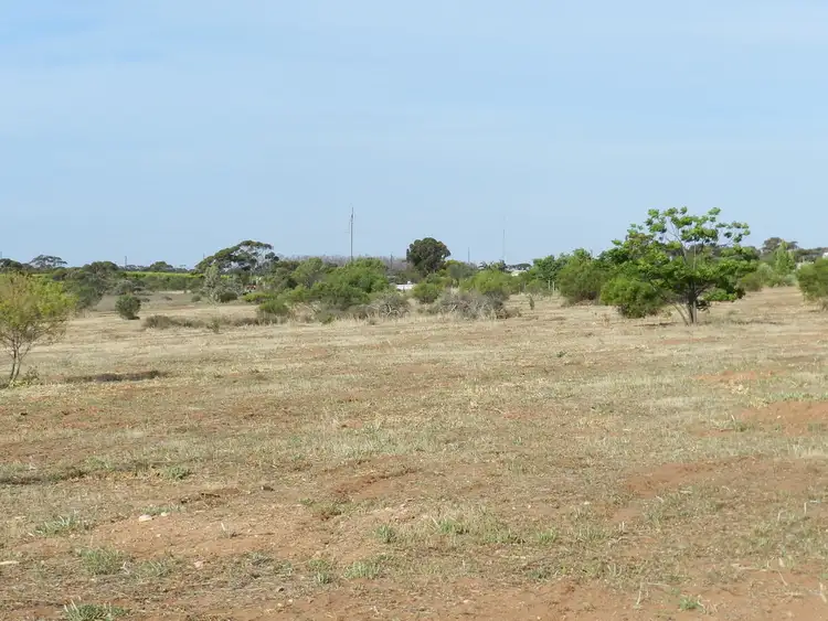 Second view of Homely rural property listing, Section 75 Moss Road, Monash SA 5342