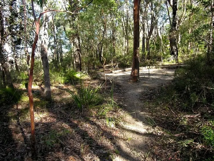 Main view of Homely land listing, 85 Genevieve Road, Bullaburra NSW 2784