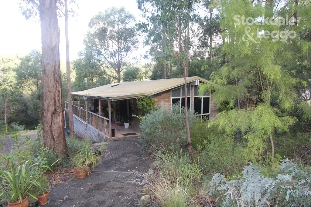Main view of Homely house listing, 9 Wells Road, Mirboo North VIC 3871