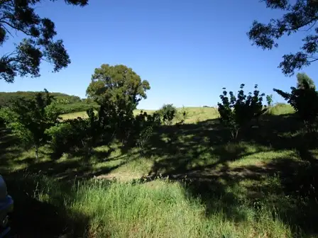 Sixth view of Homely land listing, lot 211 Sharps Road, Carey Gully SA 5144
