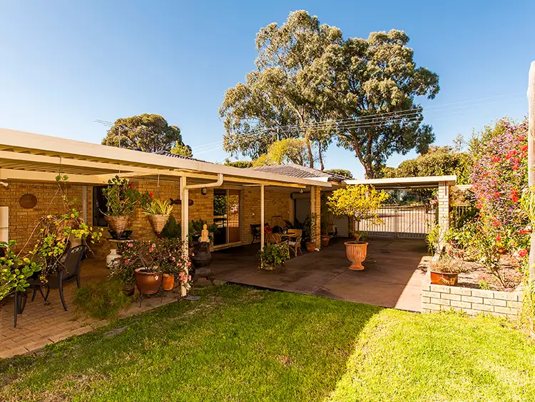 Main view of Homely house listing, 3 Rigoll Court, Mundijong WA 6123