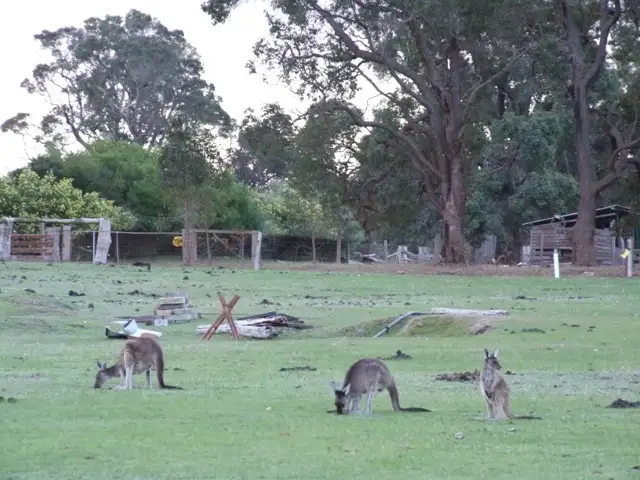 Fifth view of Homely rural property listing, 338 Junction Road, Manjimup WA 6258