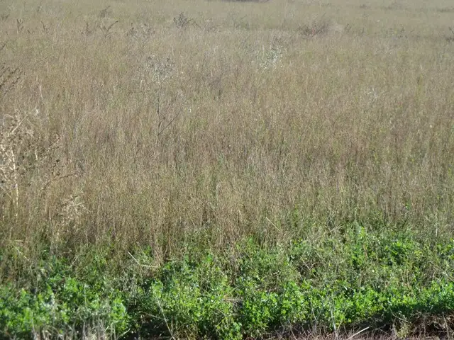 Sixth view of Homely rural property listing, Lot 2 Anderson, Moama NSW 2731